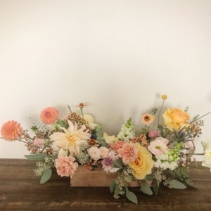 Photo of la belle bloom