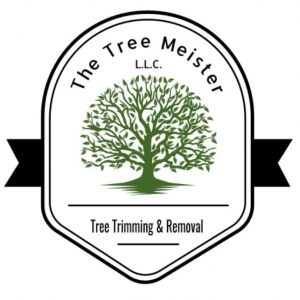 Photo of The Tree Meister