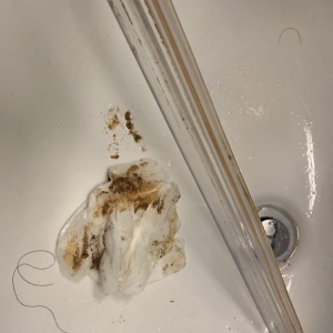 Photo of Magnified Cleaning Service