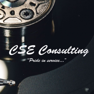 Orting CSE Consulting
