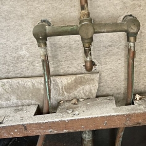 Photo of Plumb Genius