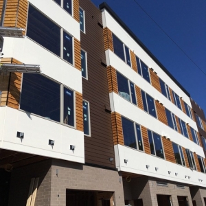 Seattle Best Quality Painting