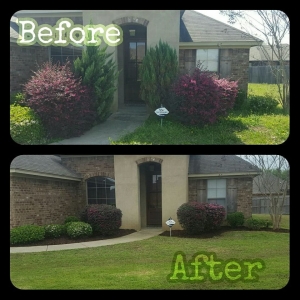 Photo of Manogin and Younger Lawn Service