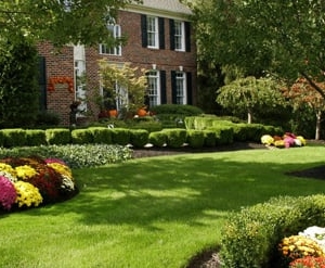 Photo of Werner & Sons Landscaping