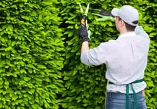 Photo of Werner & Sons Landscaping