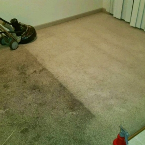 Photo of Total Floor Restoration
