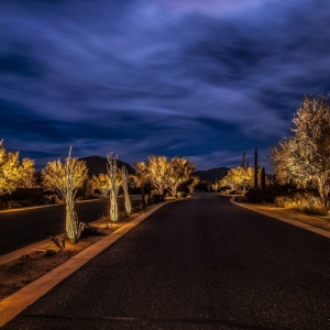 Photo of North Star Outdoor Lighting