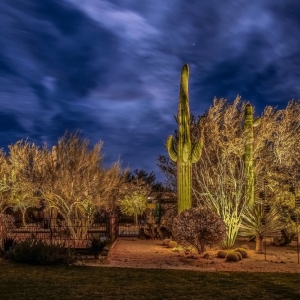 Photo of North Star Outdoor Lighting