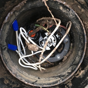 Photo of Wise Lawn Sprinkler