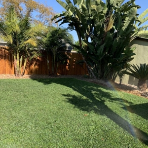 Photo of Sunset Landscaping & Maintenance