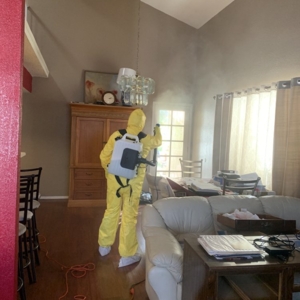 Photo of EMJ Cleaning