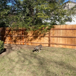 Photo of Glidden Fence Company