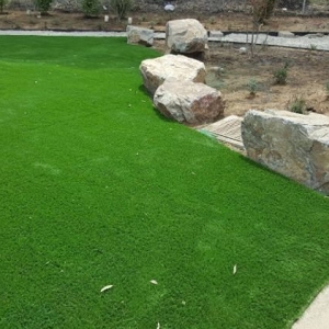Photo of Purchase Green Artificial Grass