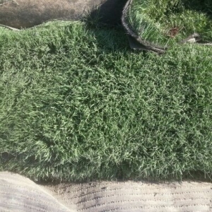 Photo of Artificial Grass Recyclers