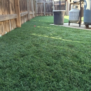 Photo of Artificial Grass Recyclers
