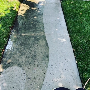 Photo of Aria Exterior Cleaning