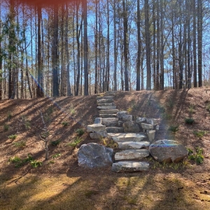 Kennesaw Ann Johnson Design