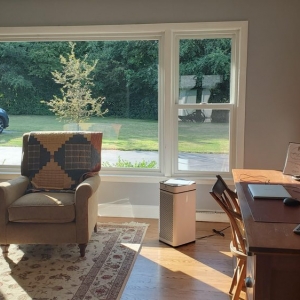 Photo of Friendly Windows