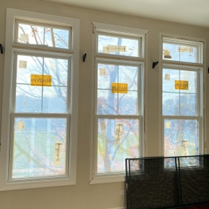 Photo of Friendly Windows