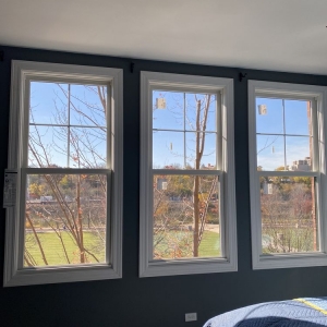 Photo of Friendly Windows