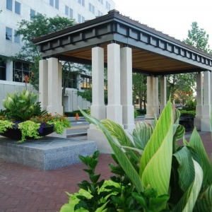 Photo of Environmental Management