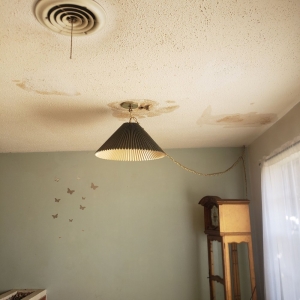 Photo of T&J Property Management