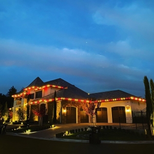 Photo of Light it up