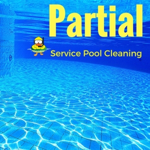 Photo of Pool Peeps