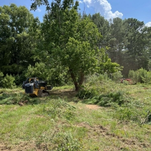 Photo of C Dubbs Land Clearing