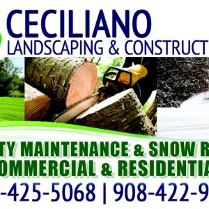Photo of Ceciliano Landscaping & Construction
