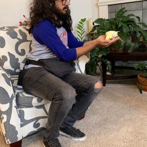 Photo of Once In A Wild