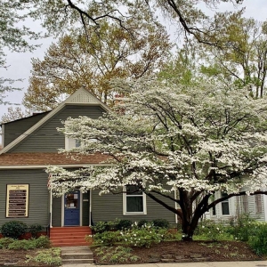 Photo of Kismet Property Management