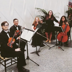 Photo of Cello Vida