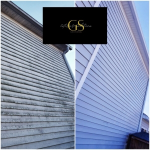 Photo of GoldShark Exterior Solutions