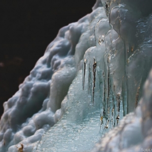 Photo of Soul Gaze Photography