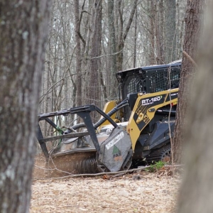 Photo of Outback Forestry Mulching And Landclearing