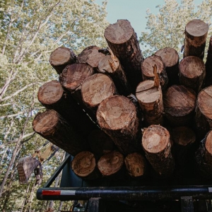 Photo of Outback Forestry Mulching And Landclearing