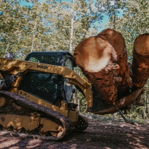 Photo of Outback Forestry Mulching And Landclearing