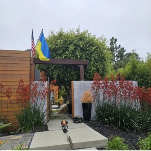 Photo of E-Magine Landscape Construction
