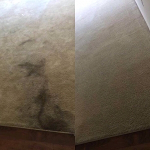 Photo of Fresh Start Cleaning Services