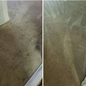 Photo of Fresh Start Cleaning Services