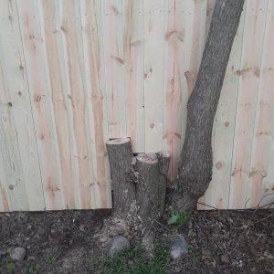 Photo of Done Right Fencing By Will