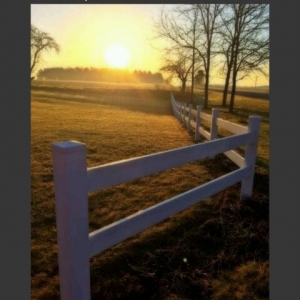 Photo of Grade A Landscape