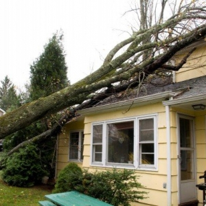 Photo of Pipkin Home Improvements