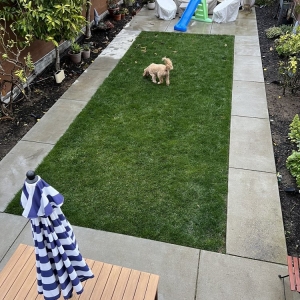 Colma O.R Landscape & Maintenance