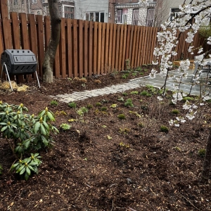 Photo of Native NY Gardens