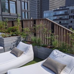 Photo of Native NY Gardens