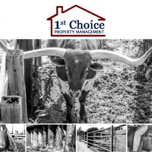 Photo of 1st Choice Property Management