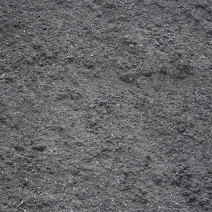 Photo of Big Tex Stone