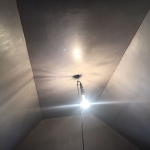 Lynn Fernandes plastering